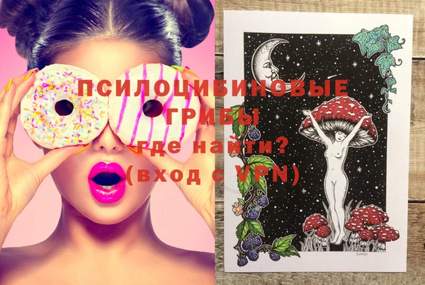 меф Инта