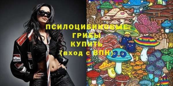 меф Инта