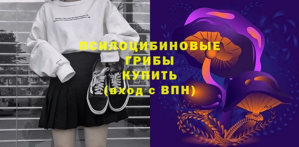 меф Инта