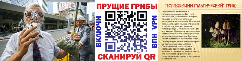 купить   Чаплыгин  Галлюциногенные грибы Cubensis 